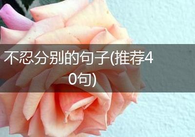 不忍分别的句子(推荐40句)
