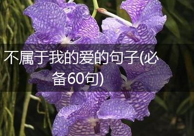 不属于我的爱的句子(必备60句)