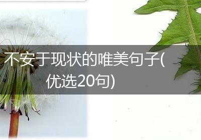 不安于现状的唯美句子(优选20句)
