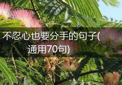 不忍心也要分手的句子(通用70句)