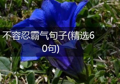 不容忍霸气句子(精选60句)