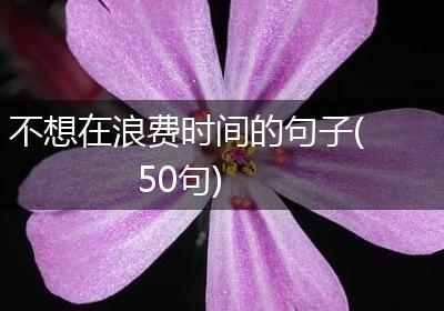 不想在浪费时间的句子(50句)