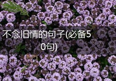 不念旧情的句子(必备50句)