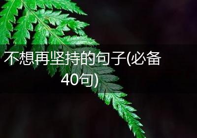 不想再坚持的句子(必备40句)