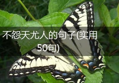 不怨天尤人的句子(实用50句)