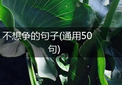 不想争的句子(通用50句)