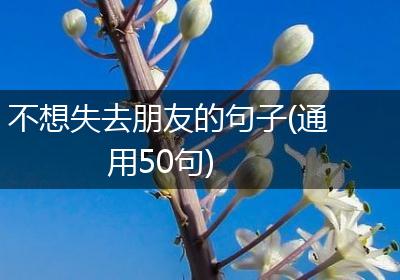 不想失去朋友的句子(通用50句)
