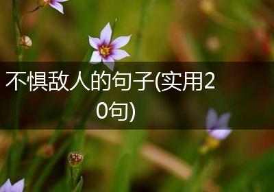 不惧敌人的句子(实用20句)