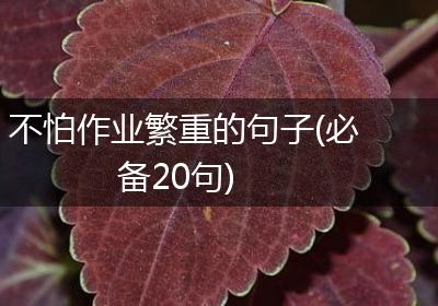 不怕作业繁重的句子(必备20句)