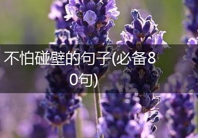 不怕碰壁的句子(必备80句)