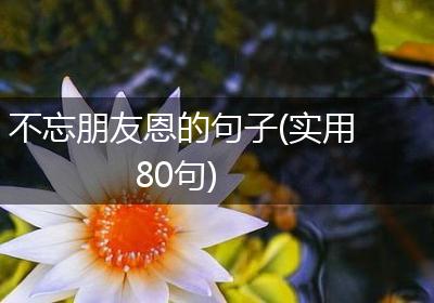 不忘朋友恩的句子(实用80句)