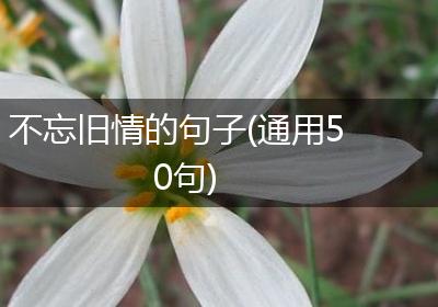 不忘旧情的句子(通用50句)