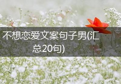 不想恋爱文案句子男(汇总20句)
