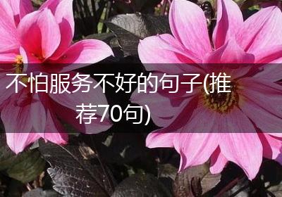 不怕服务不好的句子(推荐70句)