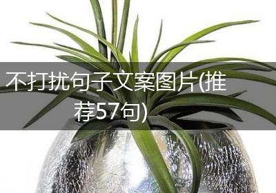 不打扰句子文案图片(推荐57句)