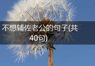 不想辅佐老公的句子(共40句)