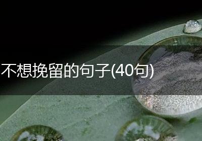 不想挽留的句子(40句)