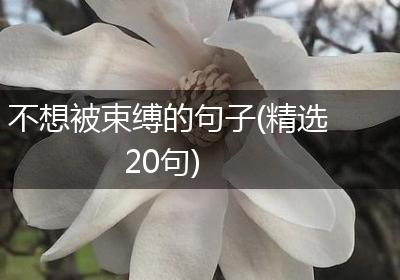 不想被束缚的句子(精选20句)