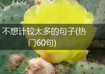 不想计较太多的句子(热门60句)