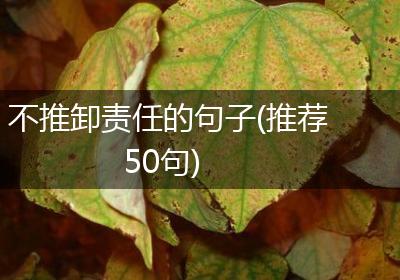 不推卸责任的句子(推荐50句)