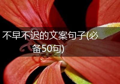 不早不迟的文案句子(必备50句)