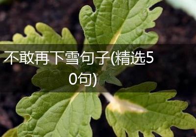 不敢再下雪句子(精选50句)