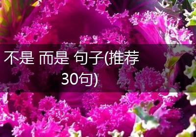 不是 而是 句子(推荐30句)