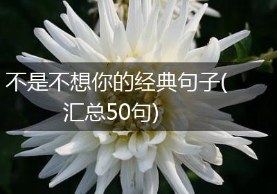 不是不想你的经典句子(汇总50句)