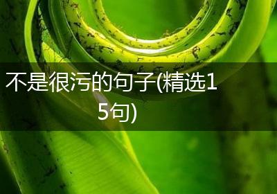 不是很污的句子(精选15句)