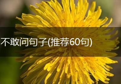 不敢问句子(推荐60句)
