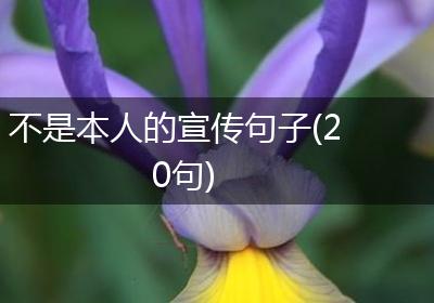 不是本人的宣传句子(20句)