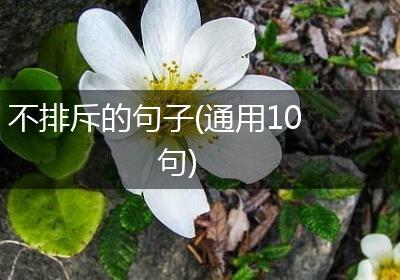 不排斥的句子(通用10句)