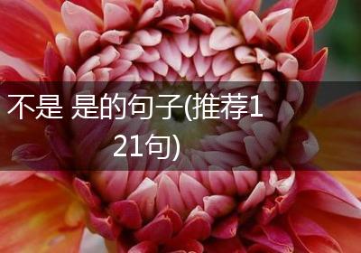 不是 是的句子(推荐121句)