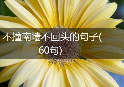 不撞南墙不回头的句子(60句)
