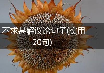 不求甚解议论句子(实用20句)