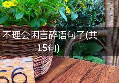 不理会闲言碎语句子(共15句)