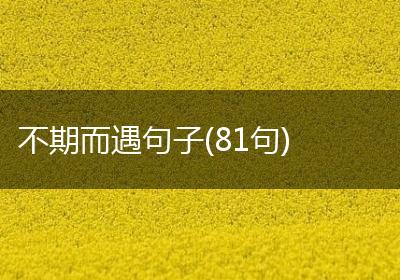 不期而遇句子(81句)