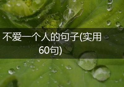 不爱一个人的句子(实用60句)