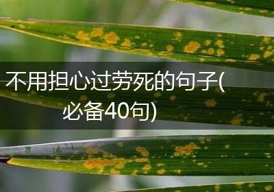 不用担心过劳死的句子(必备40句)