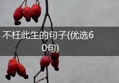 不枉此生的句子(优选60句)