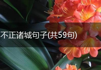 不正诸城句子(共59句)