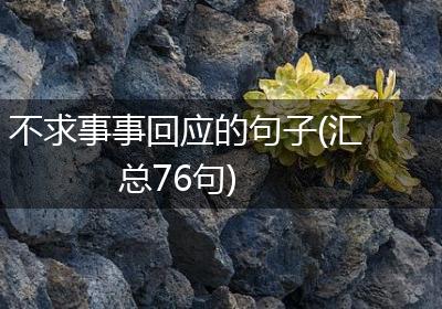 不求事事回应的句子(汇总76句)