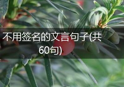 不用签名的文言句子(共60句)