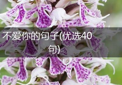 不爱你的句子(优选40句)