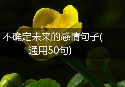 不确定未来的感情句子(通用50句)