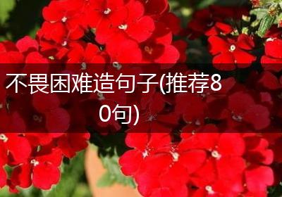 不畏困难造句子(推荐80句)