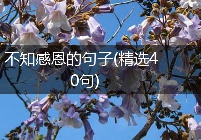 不知感恩的句子(精选40句)