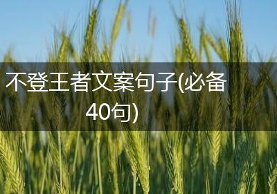 不登王者文案句子(必备40句)