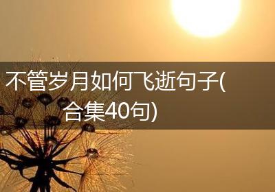 不管岁月如何飞逝句子(合集40句)