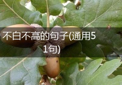 不白不高的句子(通用51句)